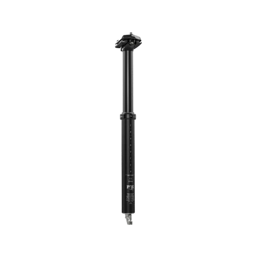 2026,Transfer,P-SE,30.9mm,120mm