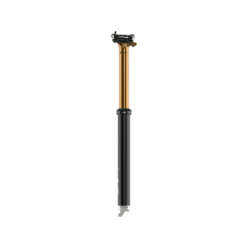 2026,Transfer,F-S,30.9mm,120mm