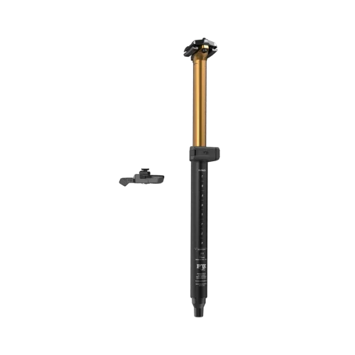 2026,Transfer Neo,F-S,30.9mm,100mm